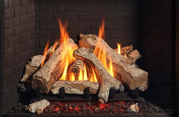Infusion Burner Log Set - Birch