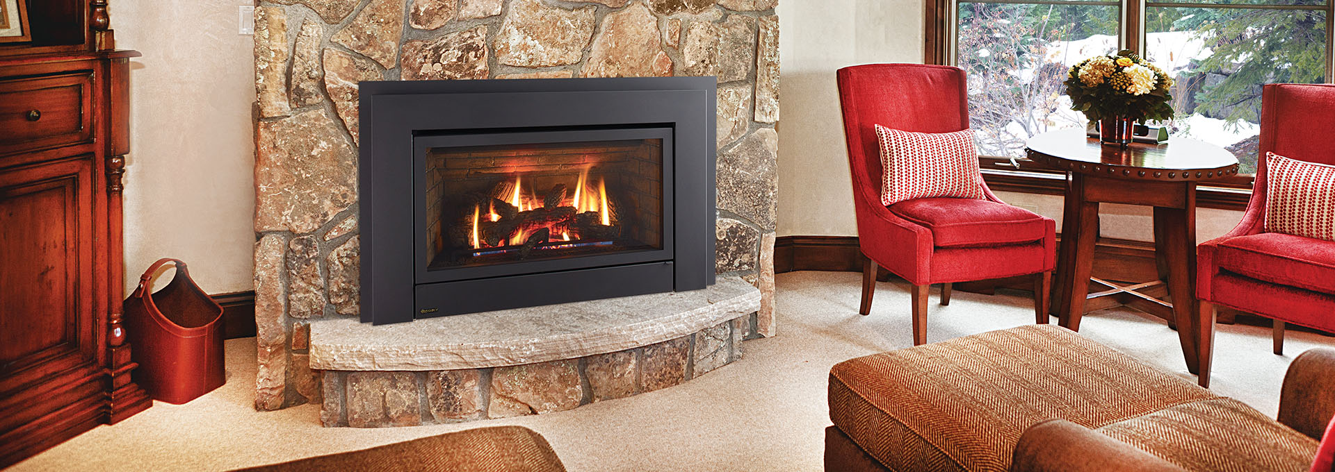 Energy E33 High Efficiency Gas Fireplace Insert Regency